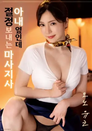 真心半解